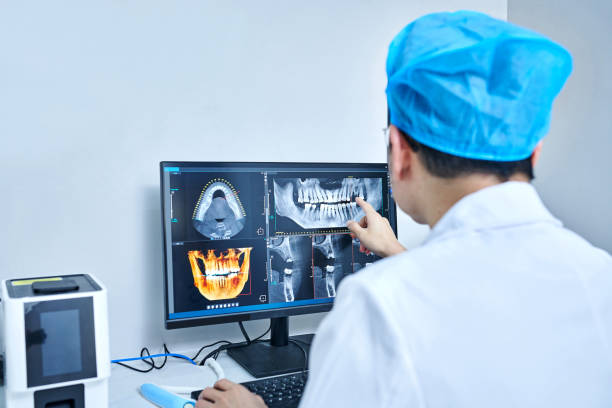 Best Emergency X-Rays and Diagnostics in Manchester, IA